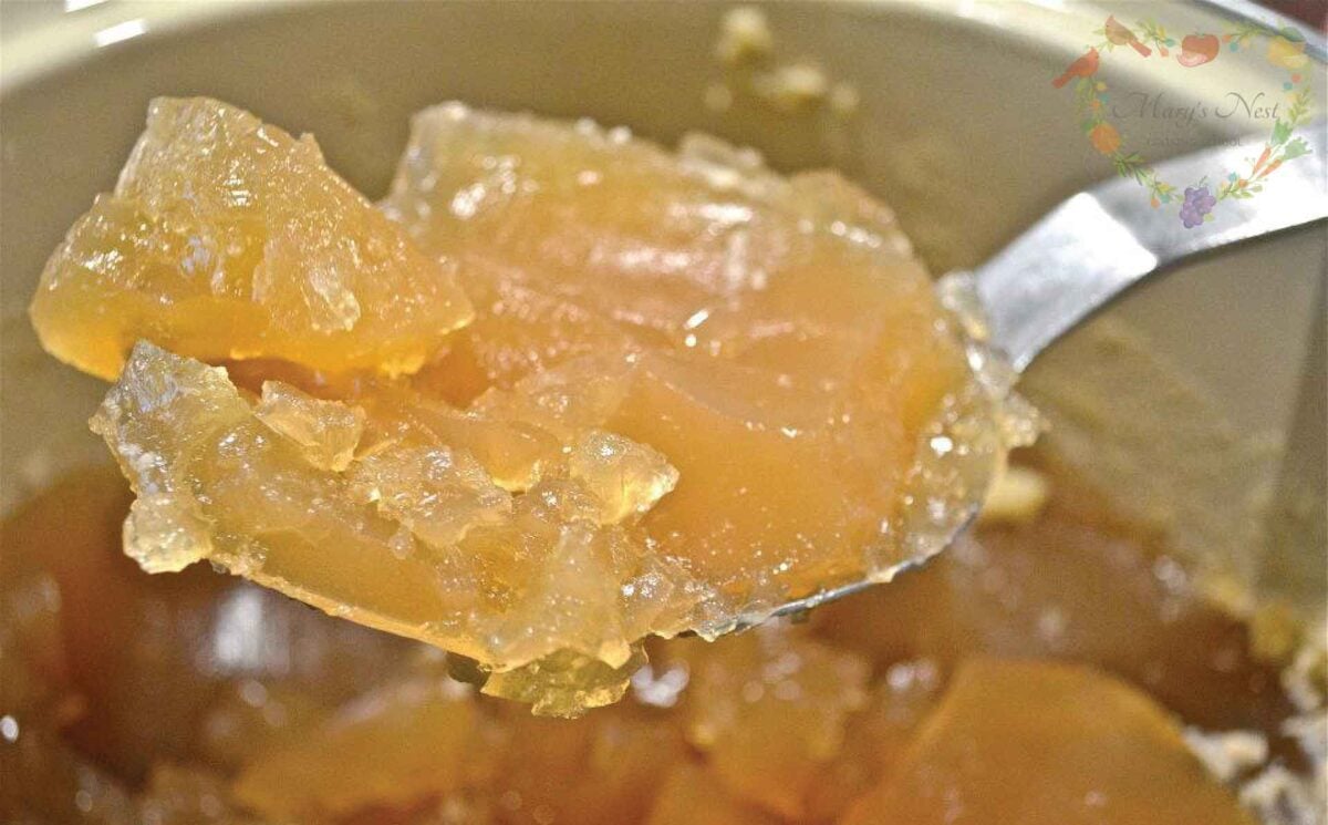 A scoop of Gelatinous Chicken Bone Broth on a spoon.