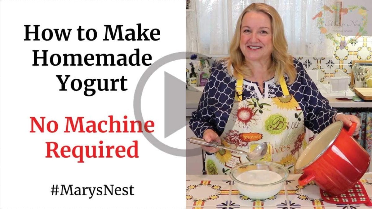 How to Make Homemade Yogurt No Machine Required Mary's Nest