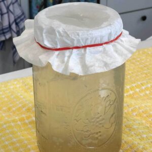 Water Kefir fermenting