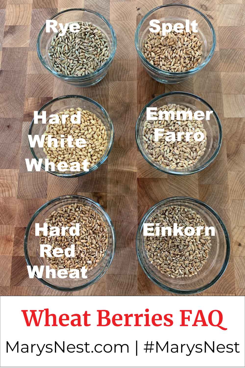 Where Do I Find Wheat Berries at Frederick Zepeda blog