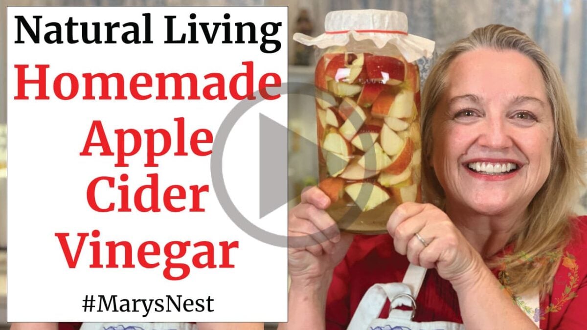 How to Make Homemade Apple Cider Vinegar Mary's Nest