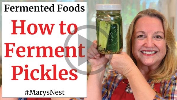 How to Make Crisp Lacto Fermented Pickles - Mary's Nest