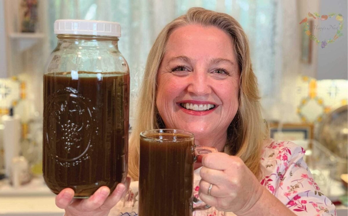 Marys Nest Easy Homemade Energy Drink Switchel Recipe