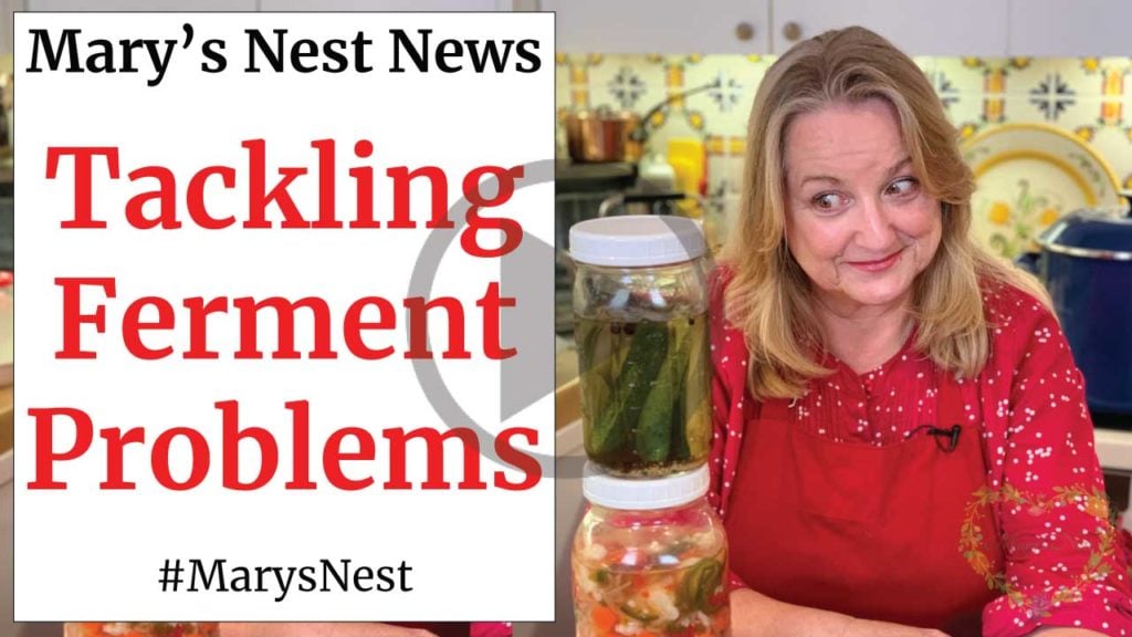 Tackling Vegetable Fermentation Problems Video