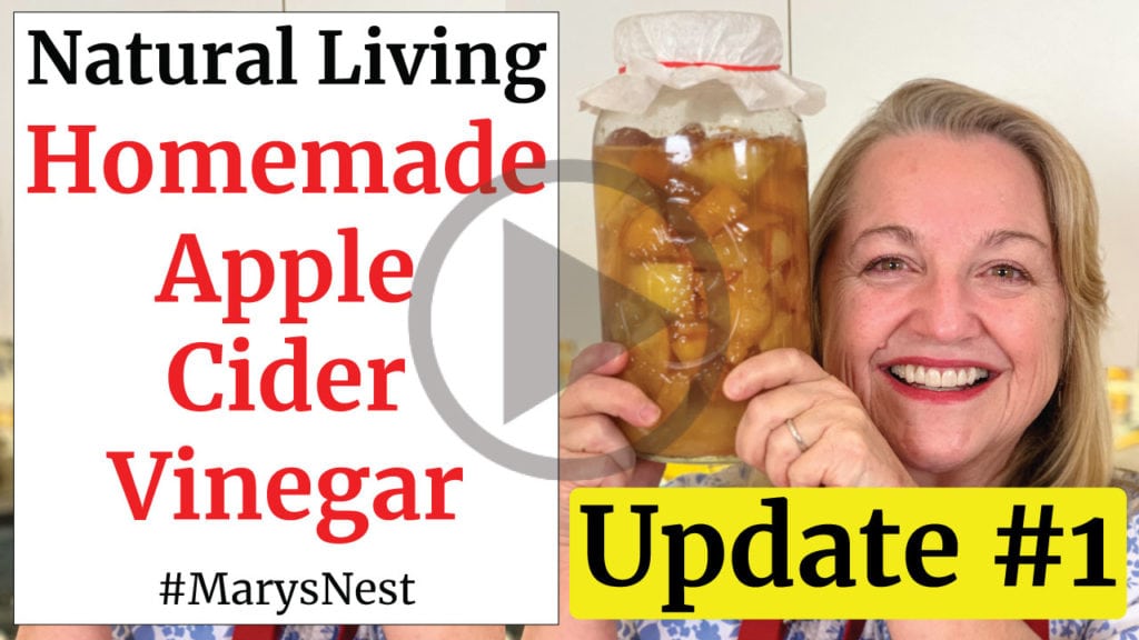 Homemade Apple Cider Vinegar Update 1 Video
