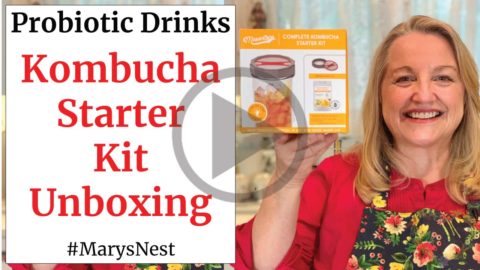 kombucha unboxing scoby