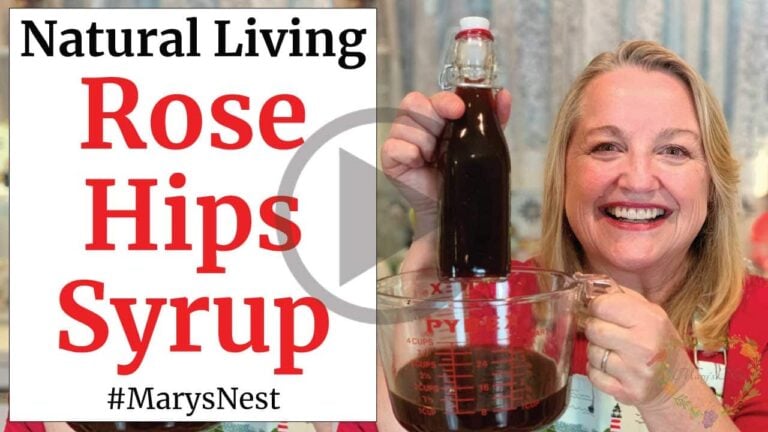 Homemade Rose Hips Syrup Recipe - Mary's Nest