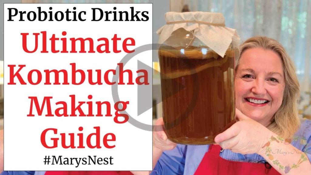 Beginner's Guide to Kombucha Making - Mary's Nest