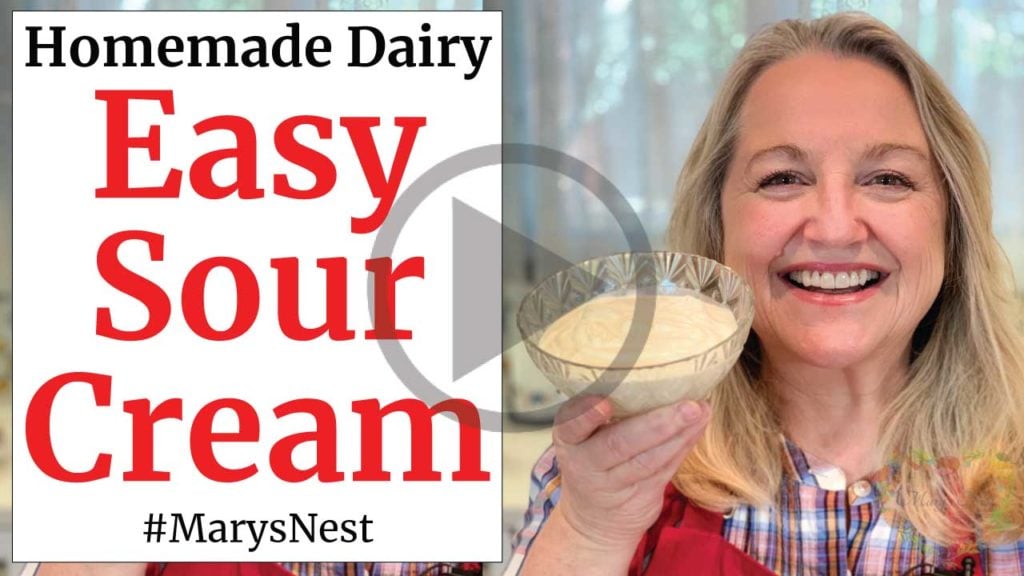 How to Make Super Cultured Dairy with L. Reuteri - Mary's Nest