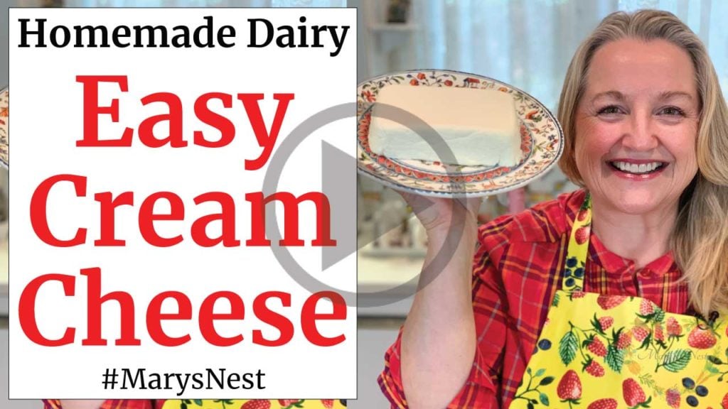 How to Make Super Cultured Dairy with L. Reuteri - Mary's Nest