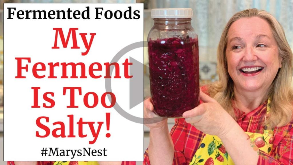 https://marysnest.com/wp-content/uploads/2020/04/My-Ferment-Is-Too-Salty-Video-1024x576.jpg