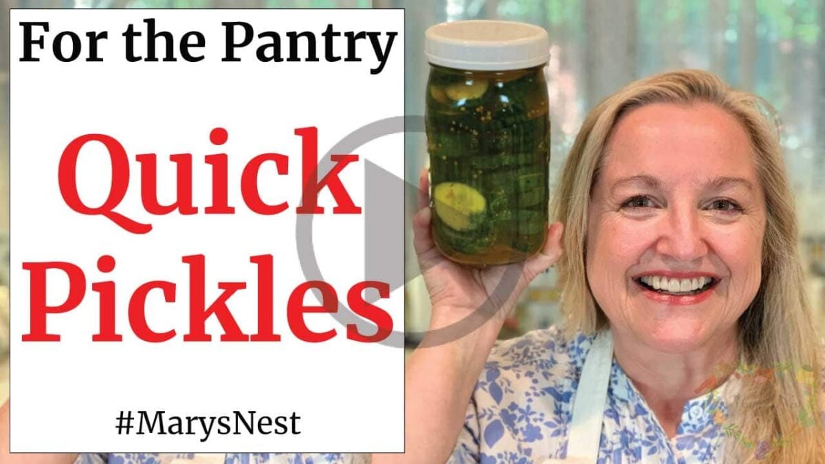 NO SUGAR Quick Pickles Master Recipe for Pickling any Vegetable Mary's Nest
