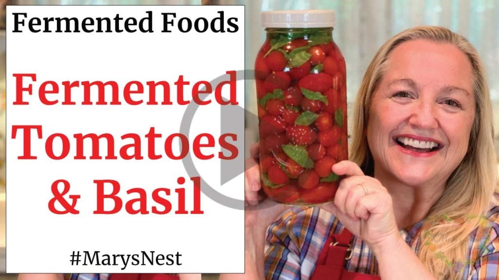 https://marysnest.com/wp-content/uploads/2020/07/Fermented-Tomatoes-Recipe-Video-1024x576.jpg