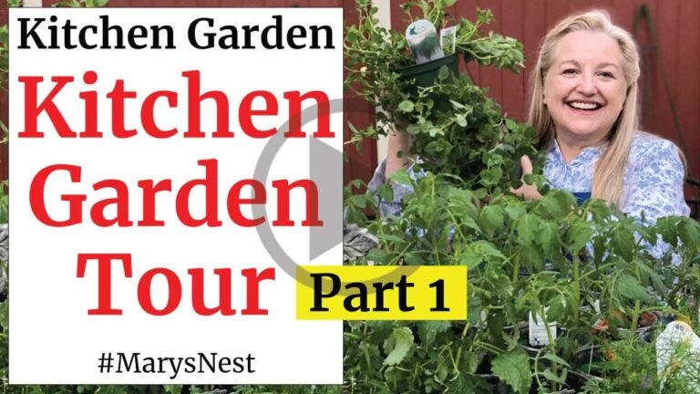 how-to-create-a-kitchen-garden-mary-s-nest