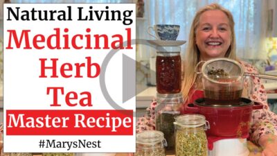 How To Make A Master Recipe For Medicinal Herb Tea - Mary's Nest