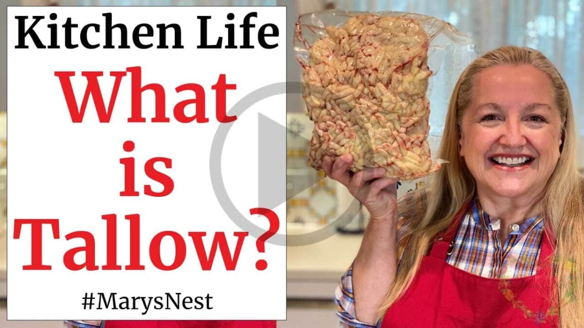 What is Tallow and How is it Different from Suet? - Mary's Nest