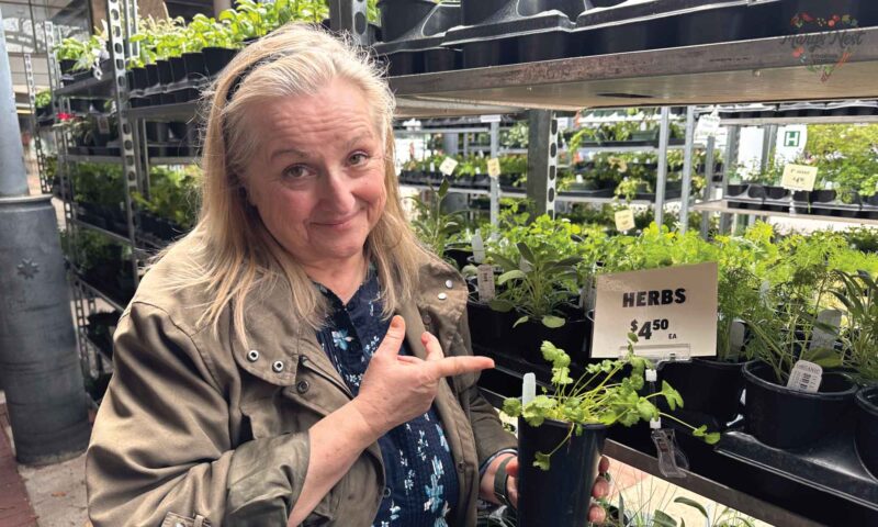 A Small Pot of Garden Herbs for $4.50? Say It Isn’t So!