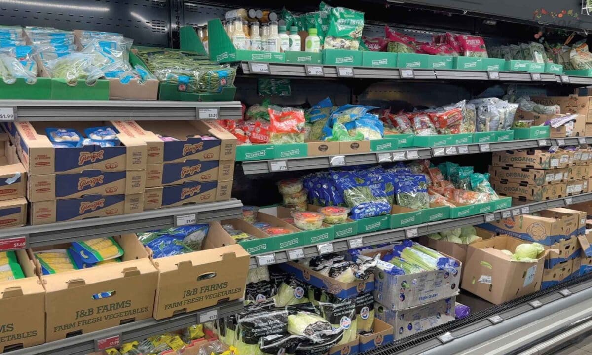 Showing shelves of fresh vegetable produce at Aldi.