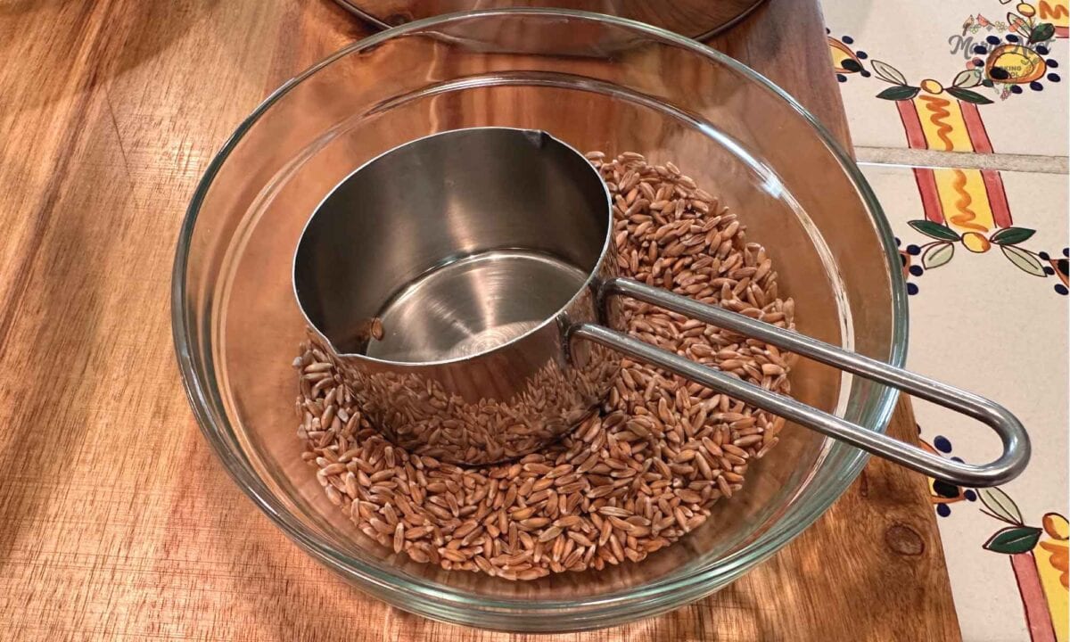 Emmer in bowl with measuring cup