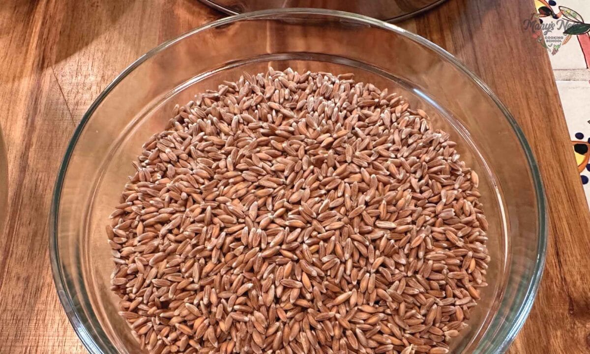 Emmer wheat berries in a glass bowl.
