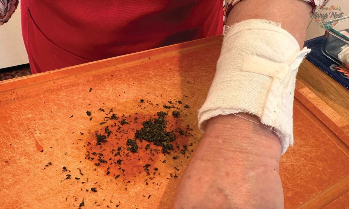 Bandage around arm with poultice