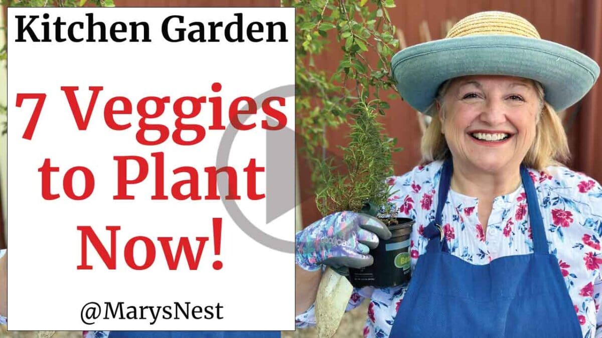 Mary holding a plant and garden shovel.
