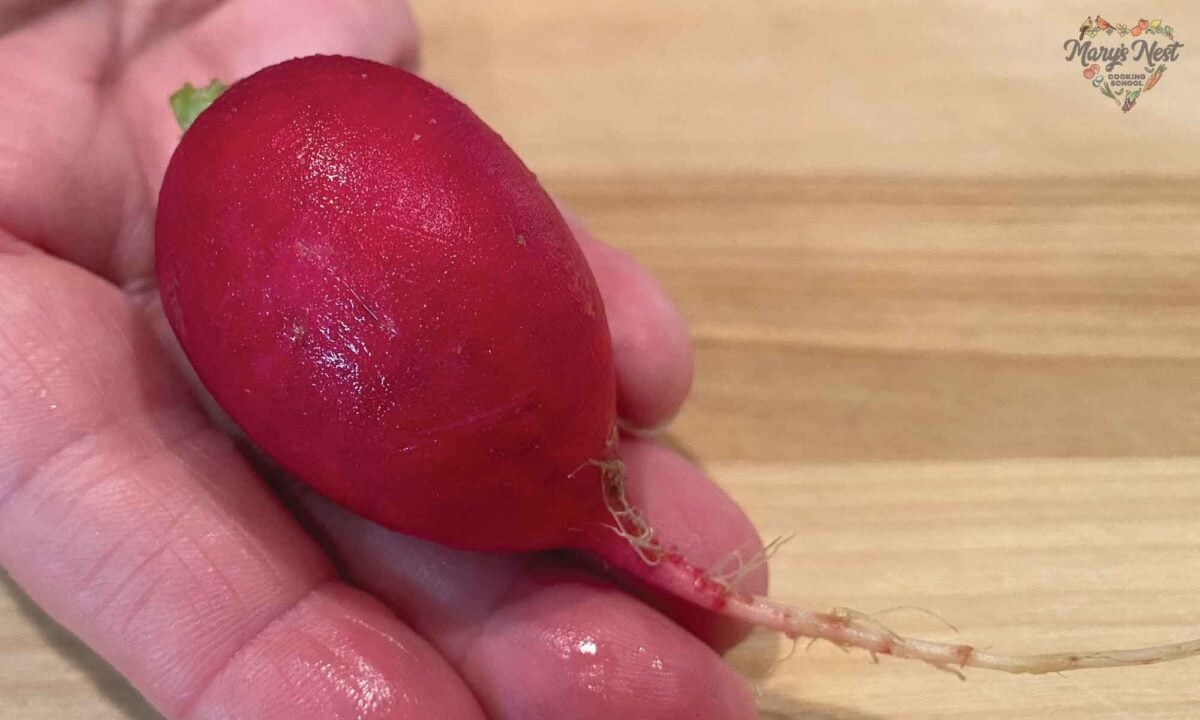 Holding a radish