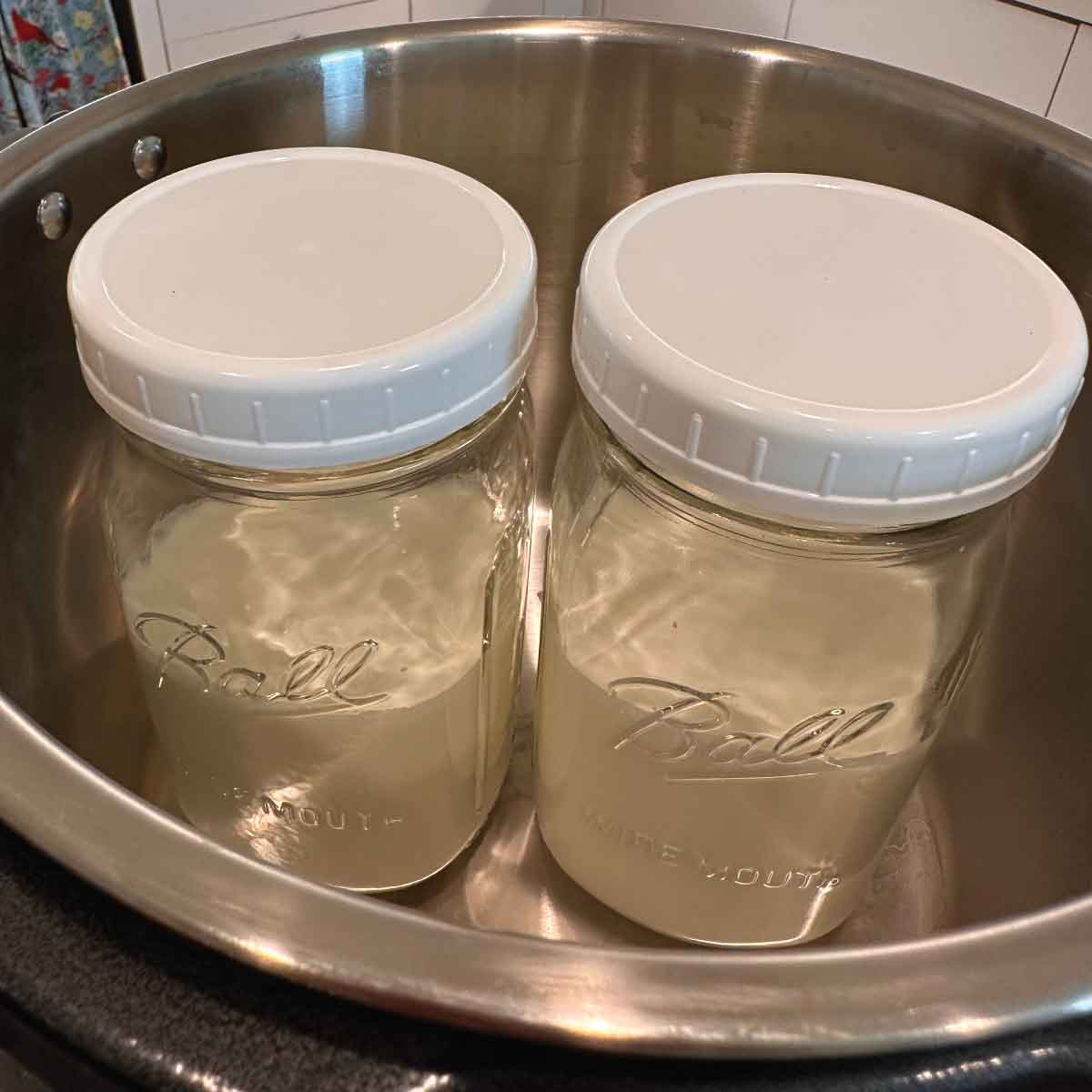 Super Cultured Dairy in two quart-sized jars in Instant Pot Pro