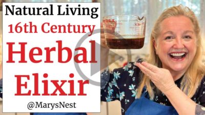 How to Make a Sixteenth-Century Herbal Elixir Cold and Flu Remedy ...