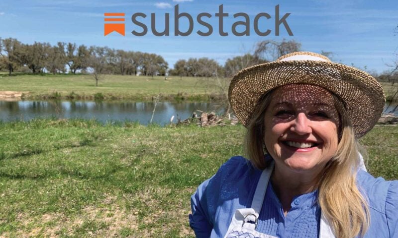 A Cozy New Corner at Mary’s Nest: Join Me on Substack